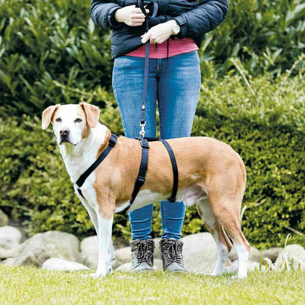 TRIXIE Panic petnešos su apsauga nuo nuo pabėgimo, XS-S 30-40 cm-10 mm, juodos