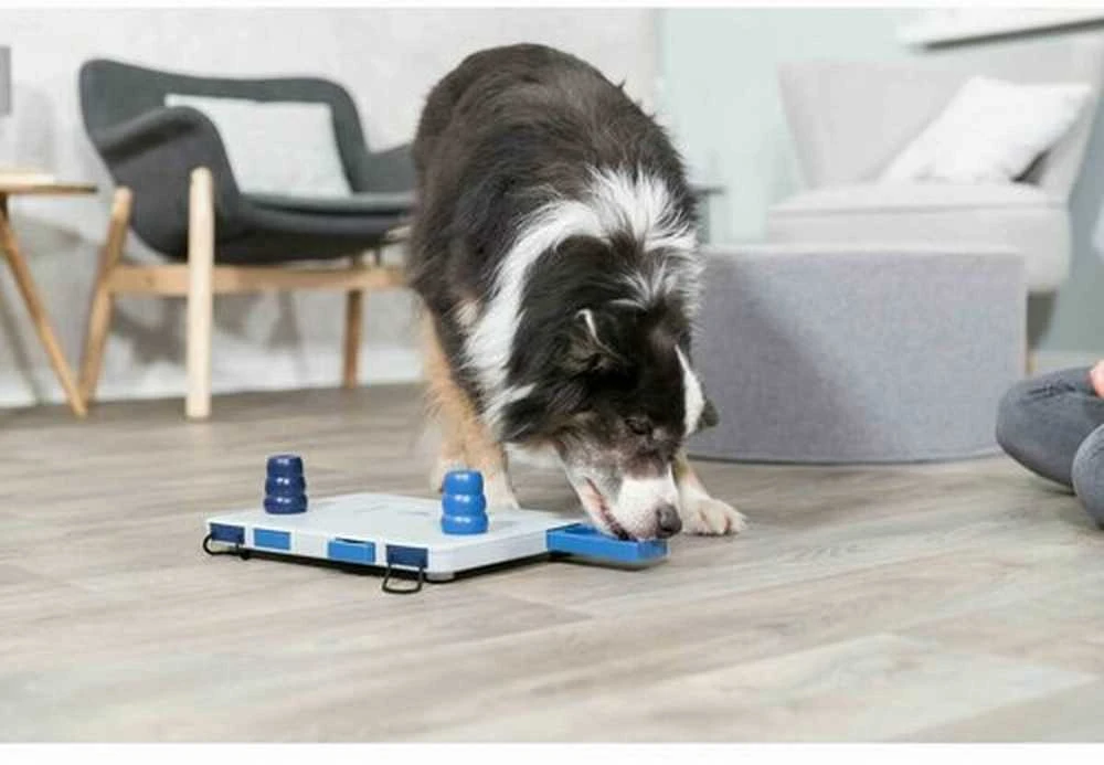 TRIXIE Strateginis žaidimas šunims Move2Win, 34x13x6cm, 32025