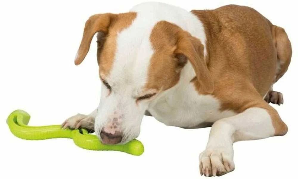 Šunų Žaislas - TRIXIE Snack-Snake 27cm