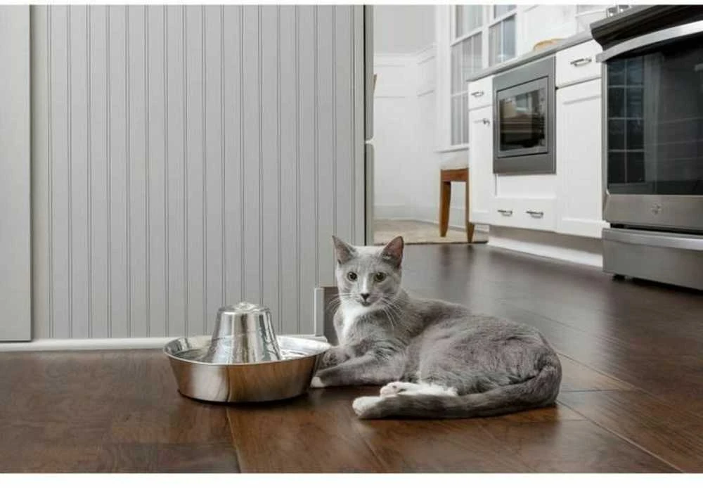 PetSafe Drinkwell 360 1,8 l vandens talpos nerūdijančio plieno girdykla - fontanas skirta katėms ir šunims girdyti