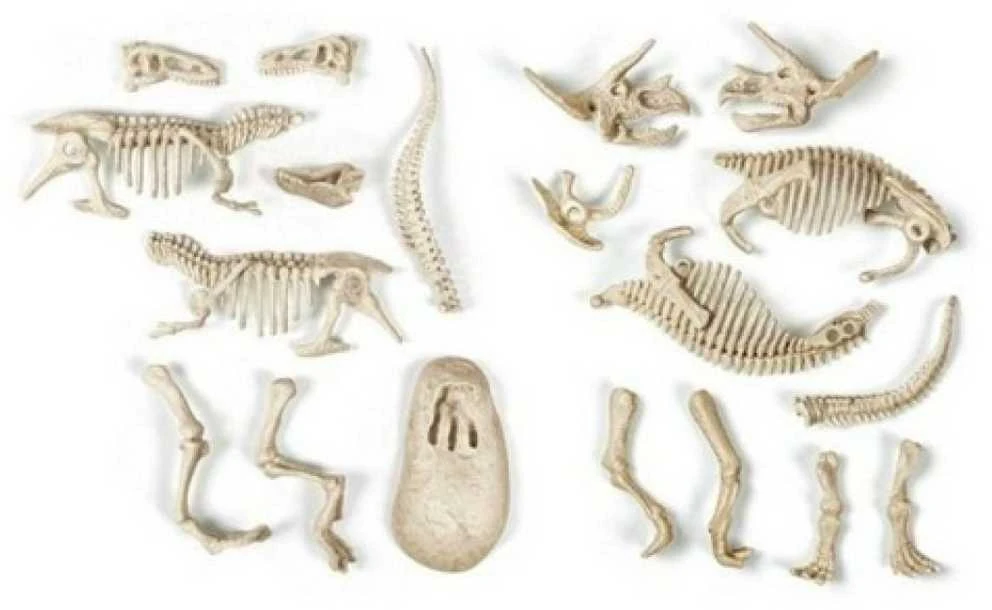 Clementoni mokslo ir žaidimų laboratorija: Tyrannosaurus Rex + Triceraptos