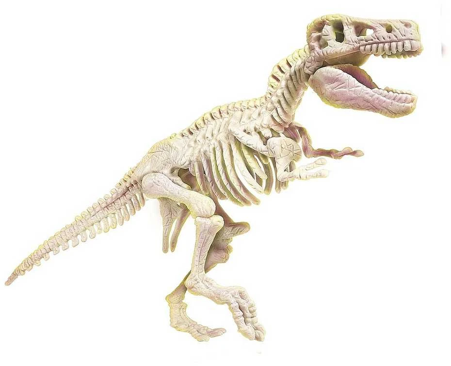 Clementoni Science&Play Lab: Tyrannosaurus Rex