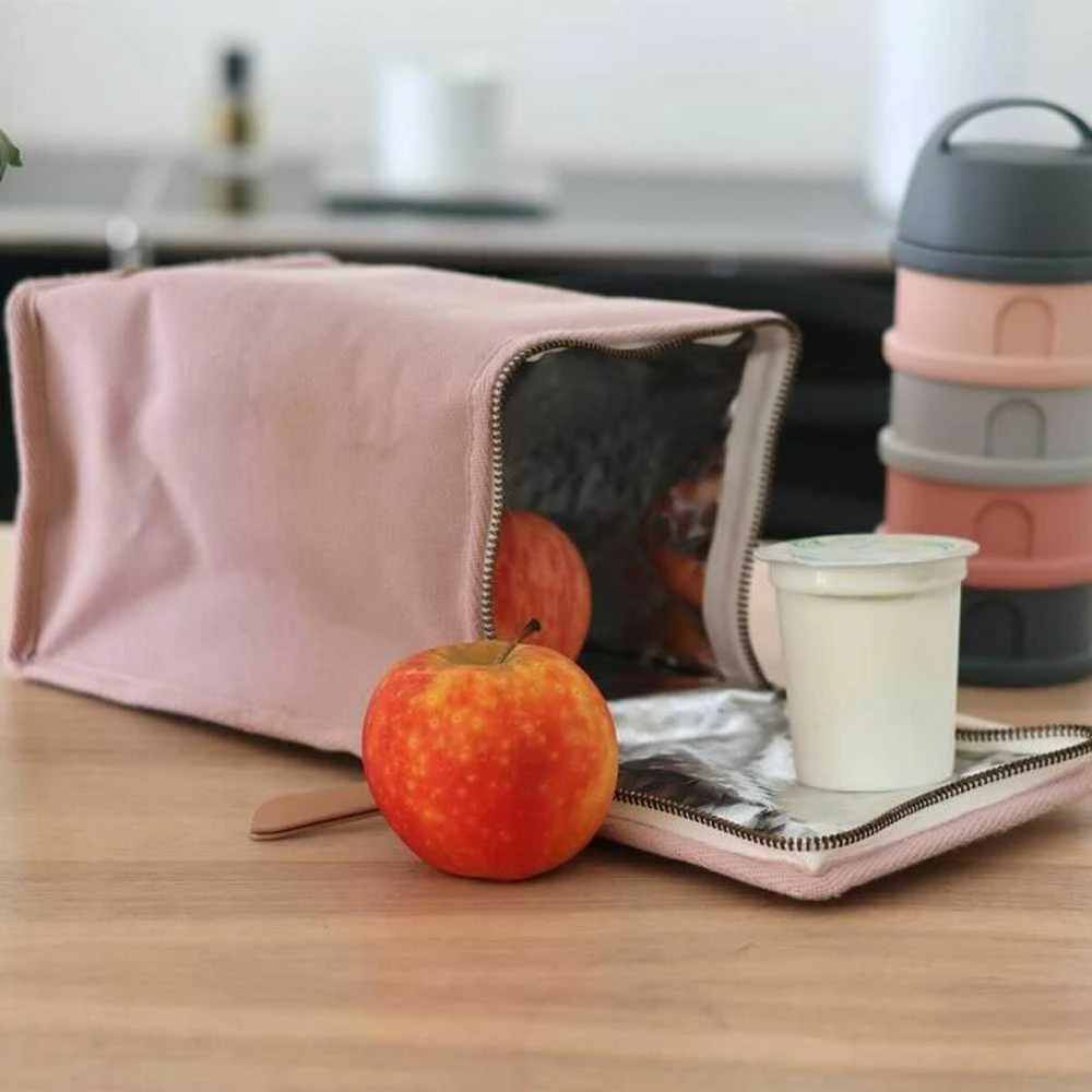 BEABA TERMODĖKLAS, DUSTY ROSE