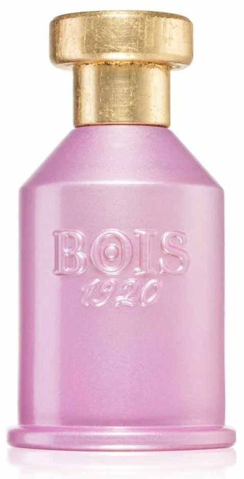 Bois 1920 Rosa Di Filare EDP, 100 ml Purškiklis