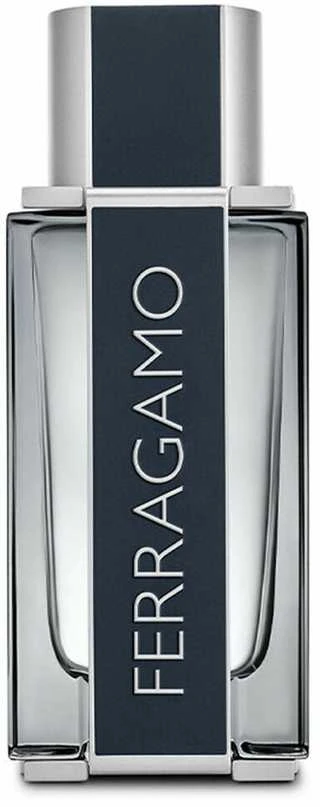 Kvepalai vyrams Ferragamo Ferragamo EDT, 100 ml