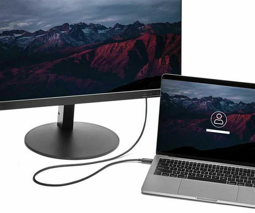 Kabelis USB StarTech USB-C - D-Sub (VGA) 2 m Juodas (CDP2VGAMM2MB)