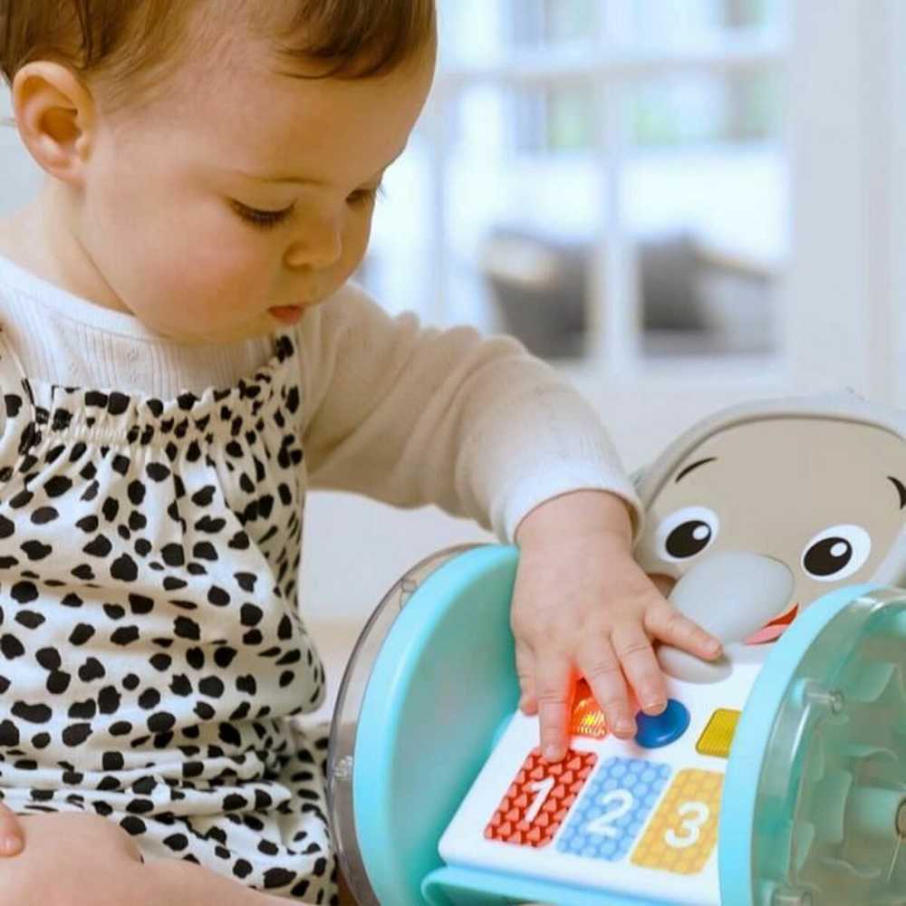 Baby Einstein Mažylis Einšteinas – Vijosi ir baksnoja Earl™ ropojimo ir vyties žaislas – (BE-16923)