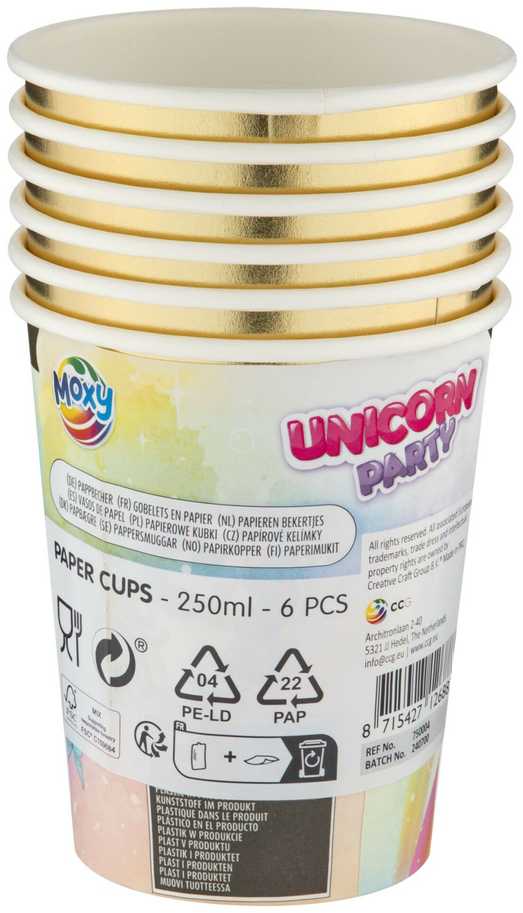 Vienaragio vaivorykštės popieriniai puodeliai, 6 vnt., 250 ml