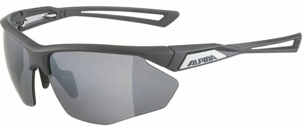 Alpina Nylos HR Sunglasses cat. 3 Pilkas