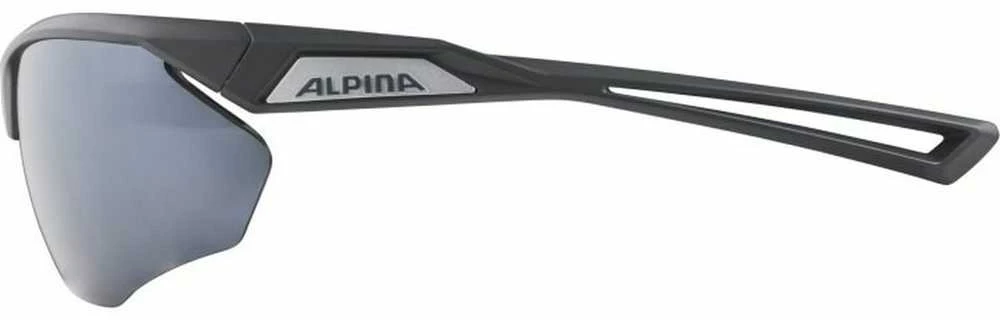 Alpina Nylos HR Sunglasses cat. 3 Pilkas