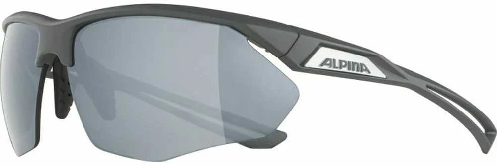 Alpina Nylos HR Sunglasses cat. 3 Pilkas