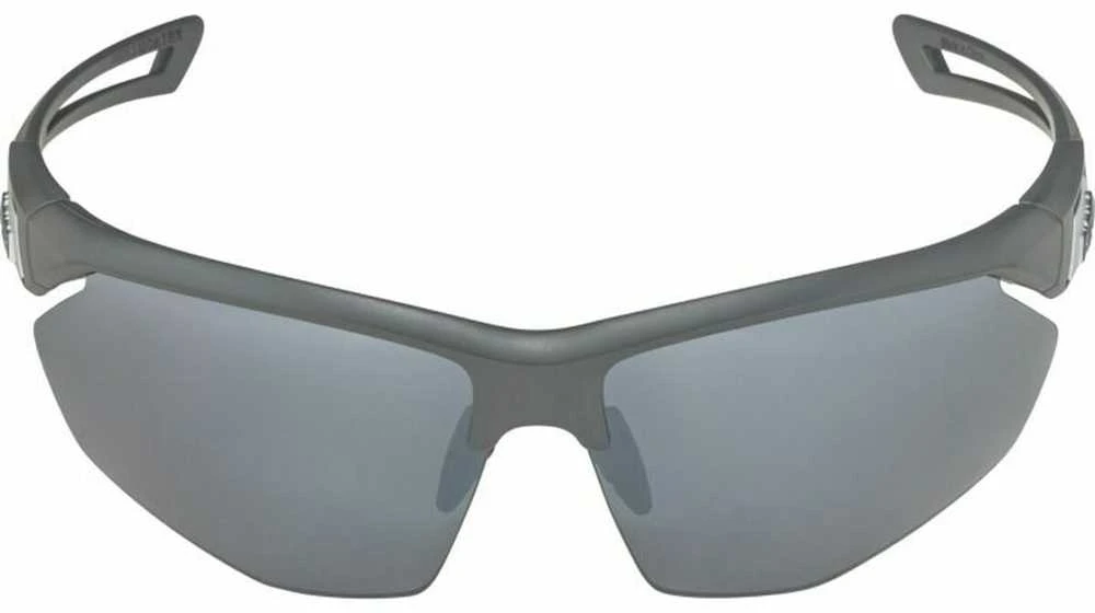 Alpina Nylos HR Sunglasses cat. 3 Pilkas