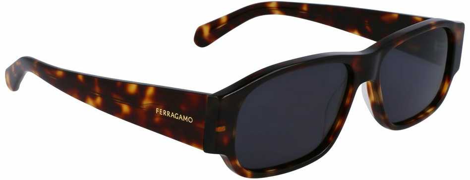 Salvatore Ferragamo Męskie okulary przeciwsłoneczne Ferragamo SF1109S571424
