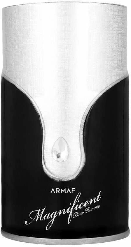 Armaf Magnificent EDP parfumuotas vanduo vyrams, 100 ml