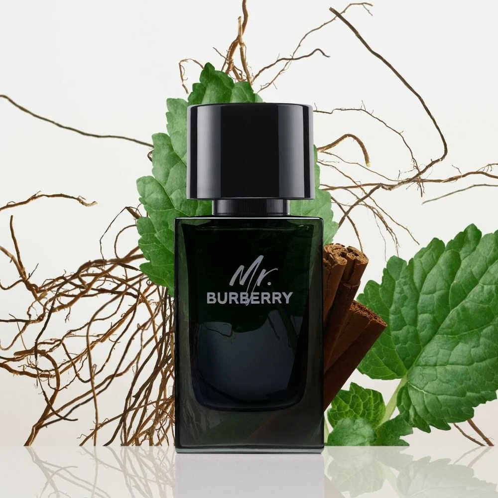 Burberry Mr. Burberry EDP parfumuotas vanduo vyrams, 100 ml