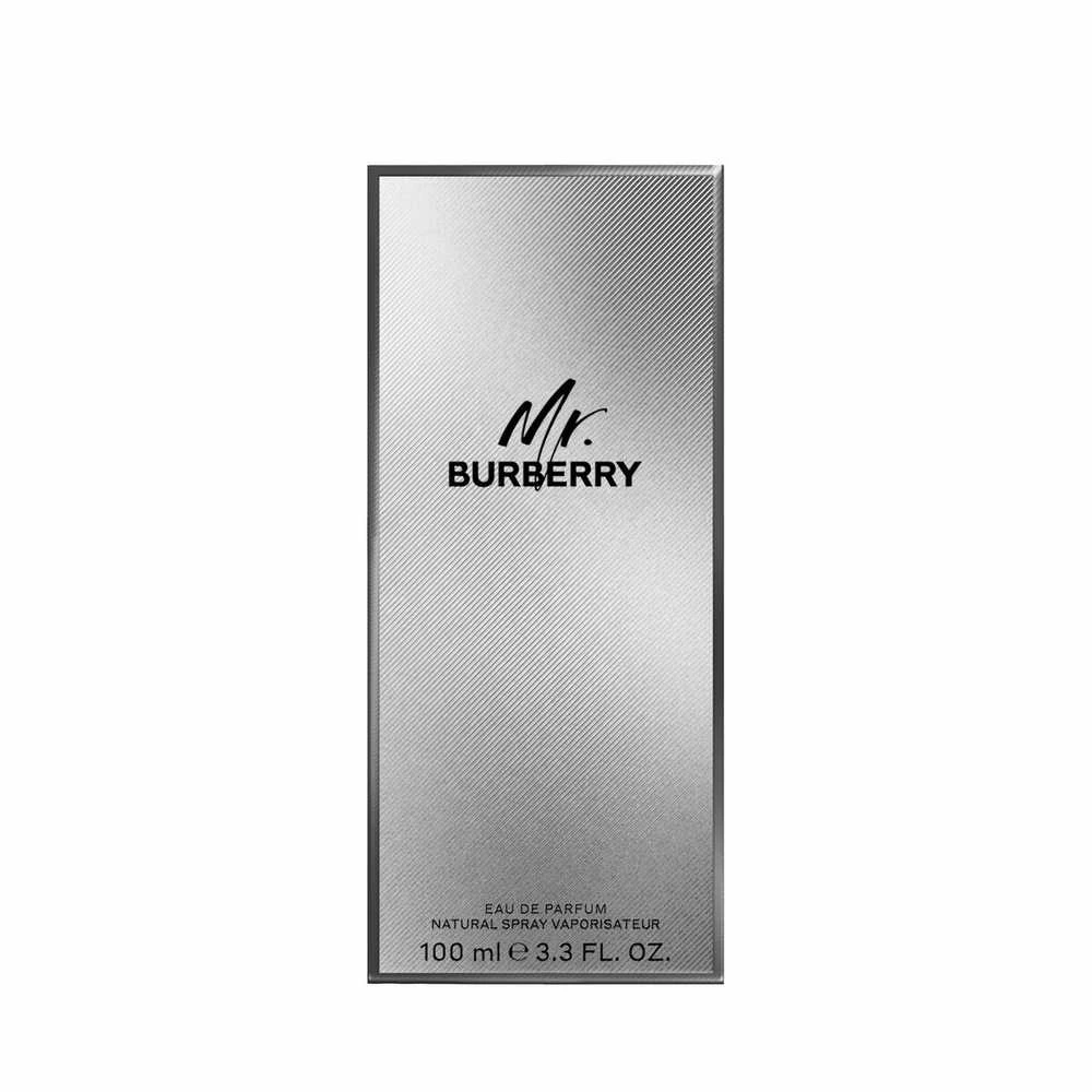 Burberry Mr. Burberry EDP parfumuotas vanduo vyrams, 100 ml