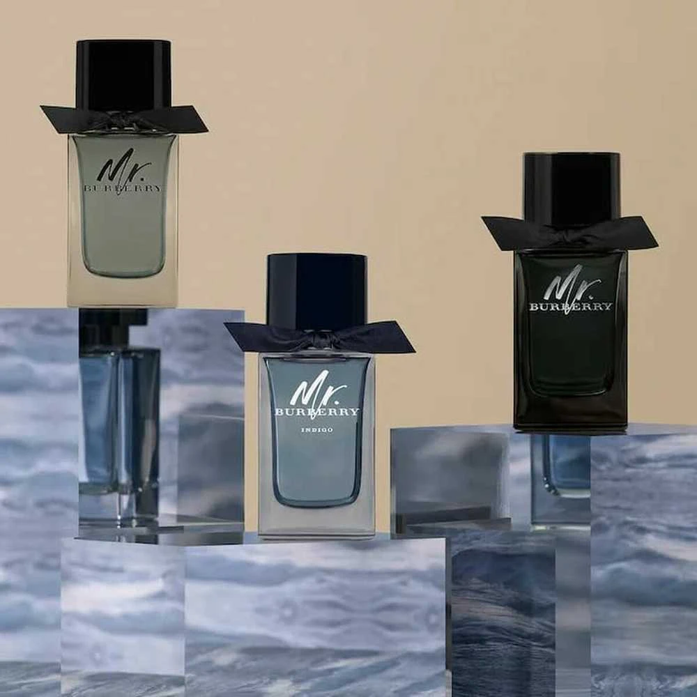 Burberry Mr. Burberry EDP parfumuotas vanduo vyrams, 100 ml