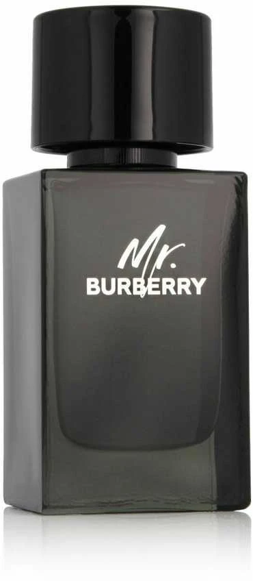 Burberry Mr. Burberry EDP parfumuotas vanduo vyrams, 100 ml
