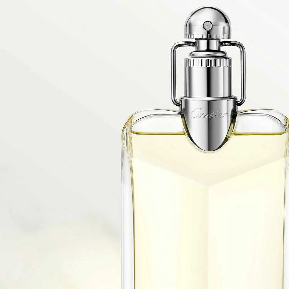 „Cartier“ deklaracija „EDT“ purškalas 100 ml, perkraunamas