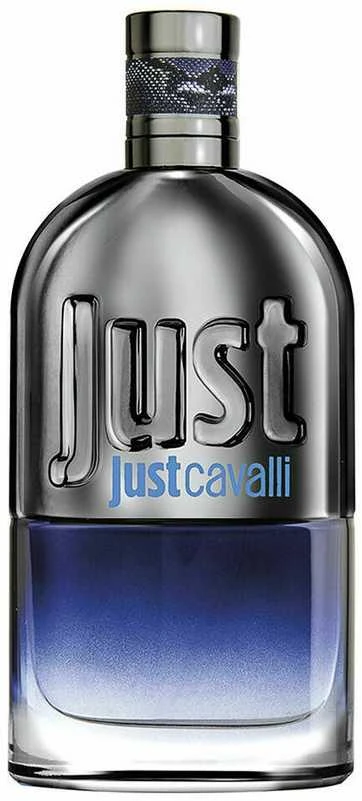 Roberto Cavalli Just Cavalli Him EDT tualetinis vanduo vyrams, 90 ml