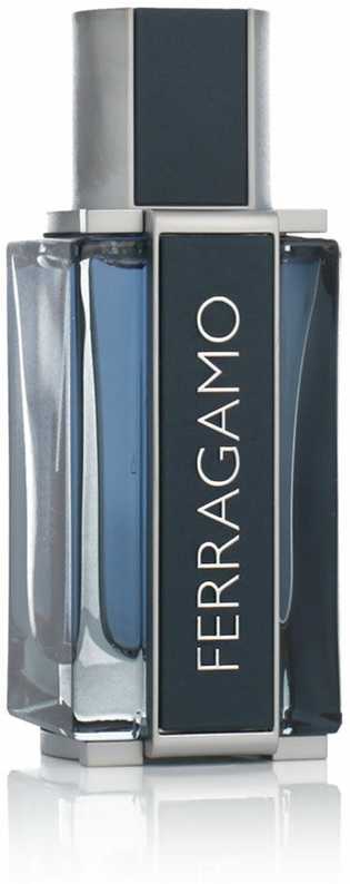 Salvatore Ferragamo Ferragamo Ferragamo Intense Leather EDP parfumuotas vanduo vyrams, 50 ml