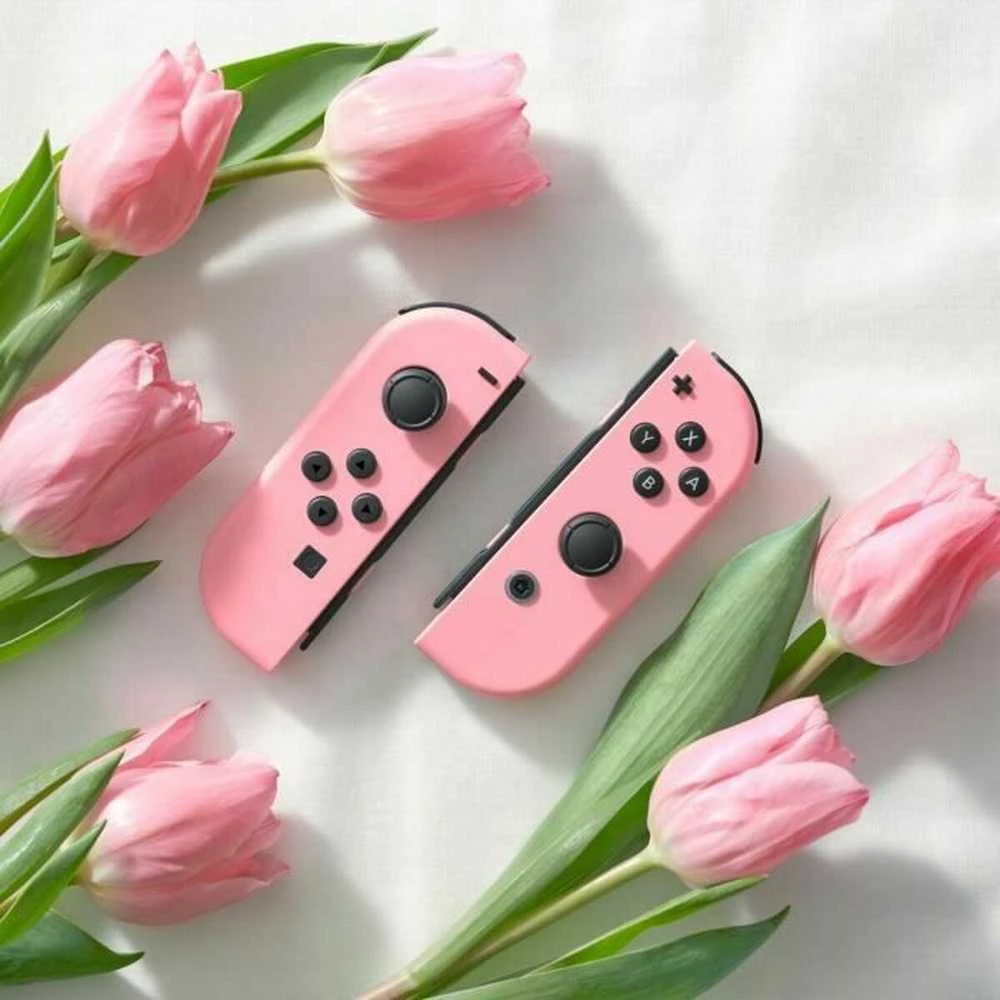 Nintendo Switch Joy-Con Pair Pastel Rožinė