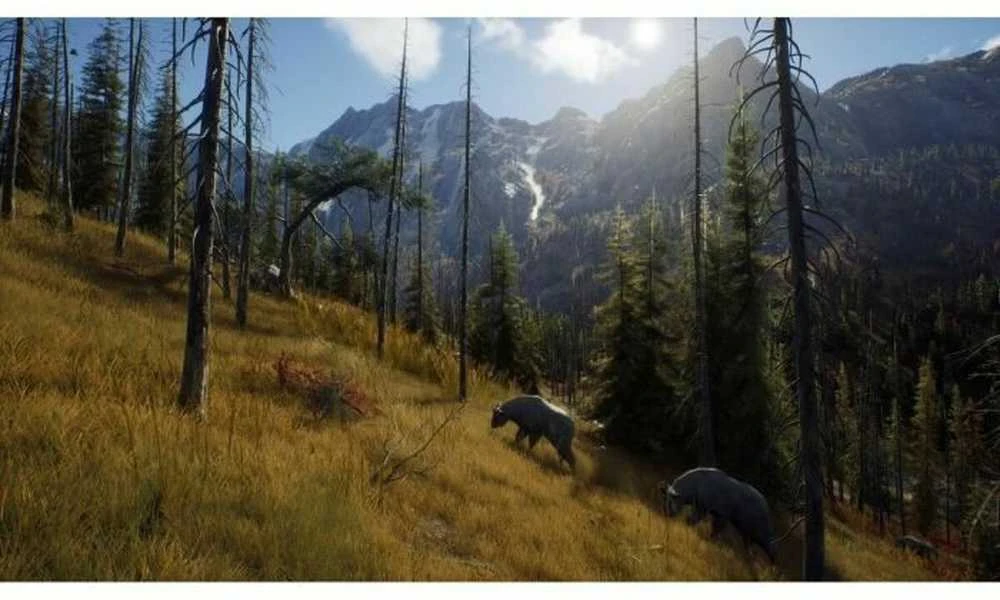 Way „Medžiotojo kelias“ – laukinės ekspedicijos – „XBOX Series X“.