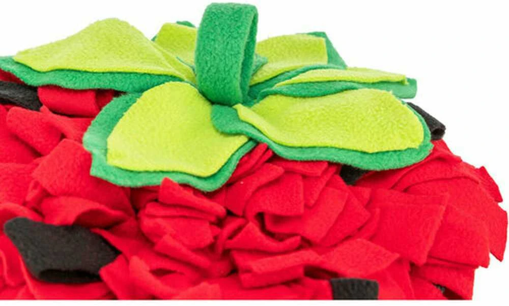 Trixie Play Mat Trixie Raudona Poliesteris 33 40 cm