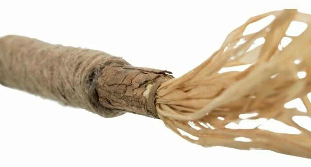 TRIXIE Matatabi žaislas katei lazdelė su kutais, 24 cm