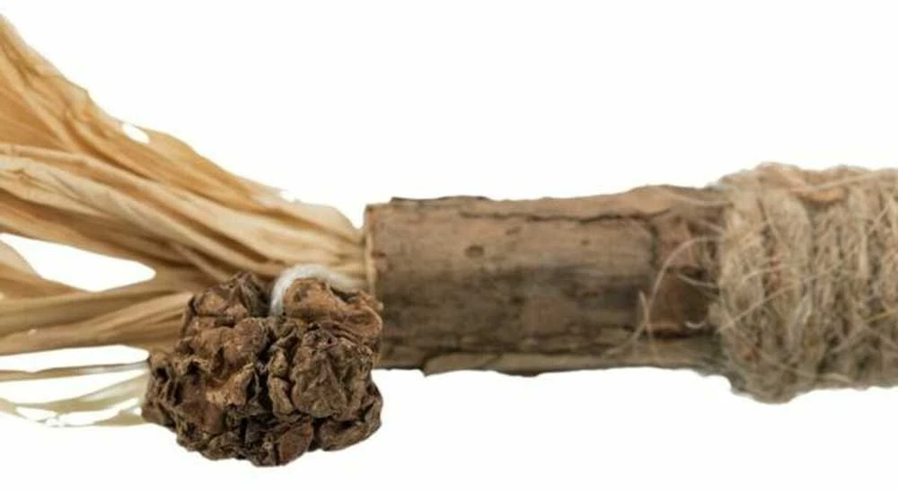 TRIXIE Matatabi žaislas katei lazdelė su kutais, 24 cm