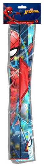 Kids Licensing Marvel Spiderman kite