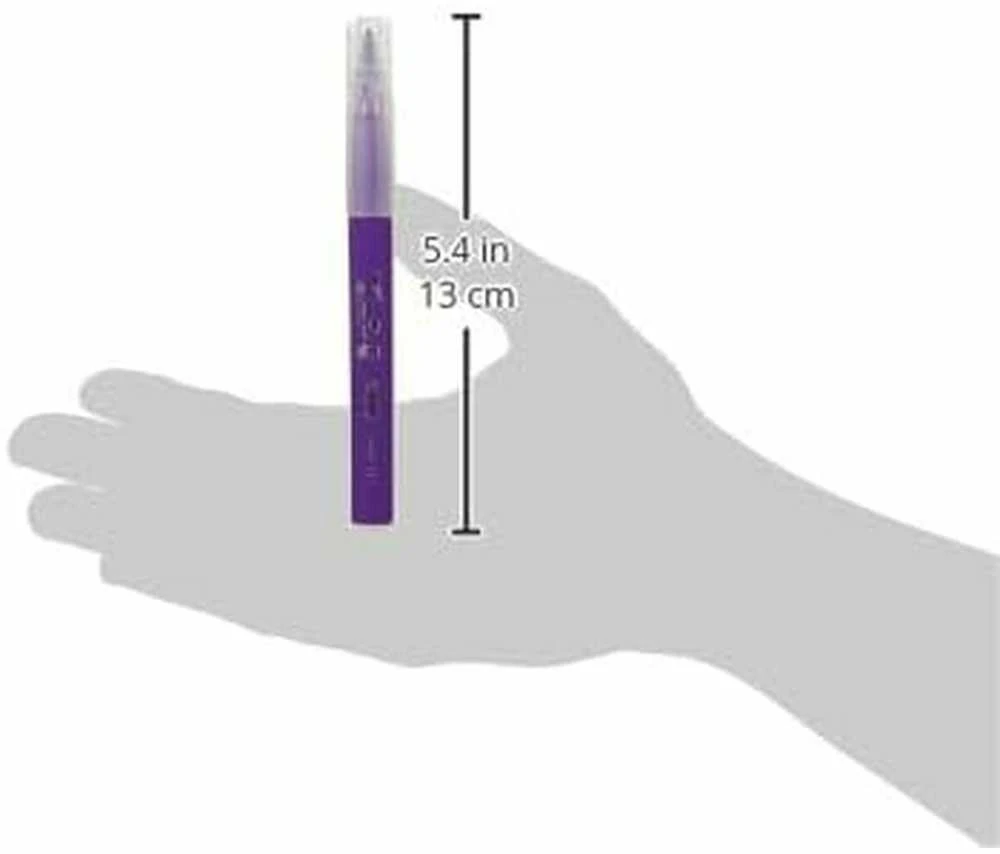 Bic Flamastry Visaqurelle 10 vnt (BICC0107)