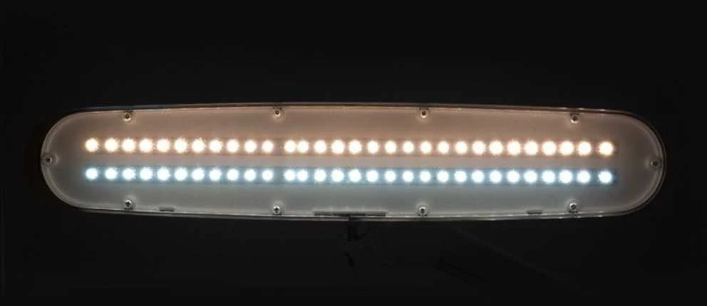 Activeshop Kosmetologinė LED lempa Elegante 1-12W Baltas