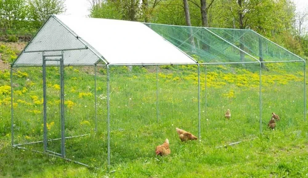 Dengtas gyvūnų aptvaras, didelis paukščių narvas, cinkuoto plieno gyvūnų aptvaras, 3x6x2.5m gyvūnų pastogė, lauko gyvūnų voljeras