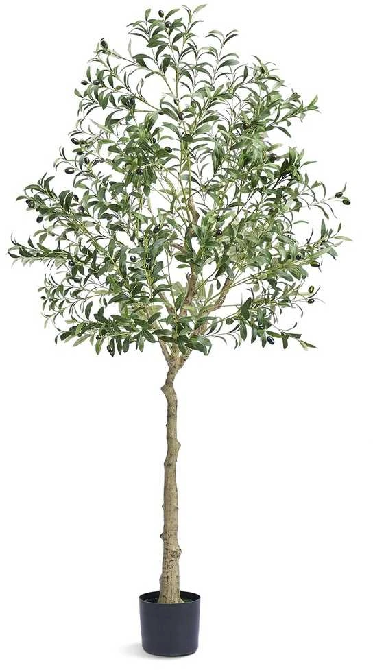Dirbtinis alyvmedis, 1,8 m