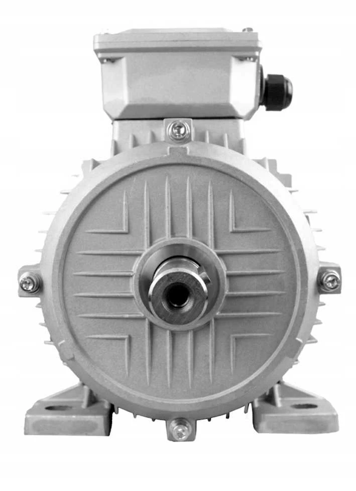 Elektrinis variklis 4.0 kW, 2850 RPM, vario apvija, skirtas kompresoriams ir pramoninei įrangai, 400V 3 fazių variklis, didelio efektyvumo elektrinis variklis