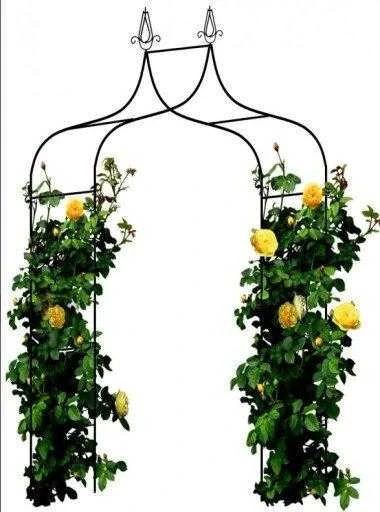 Gėlių arka GardenLine, 240 cm