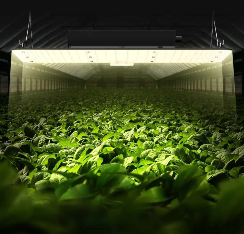 LED augalų auginimo šviestuvas, viso spektro, 200 W, pritemdomas