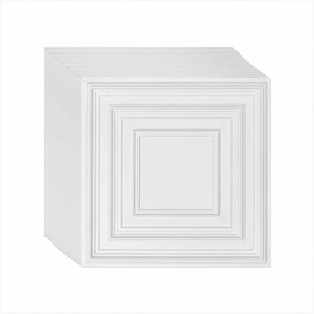 Lubų plytelės sienoms ir luboms, PVC lengvas montavimas, baltas taškuotas raštas, dekoratyvinės akustinės plytelės, 12 vienetų pakuotė 61 cm x 61 cm, interjero apdaila