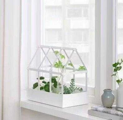 Mini medinis šiltnamis daigykla Ikea Senapskal, 0.29x0.3x0.18 m