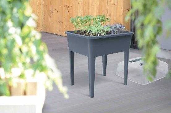Mini šiltnamis Prosperplast, 77x39x82 cm