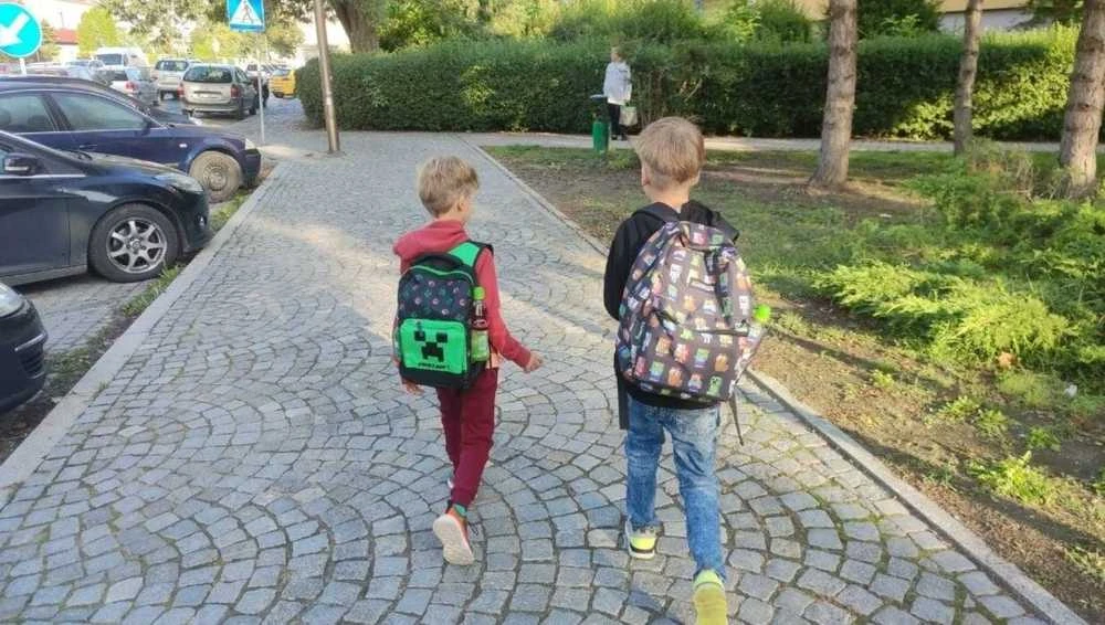 Mokyklinė kuprinė Minecraft, žalia
