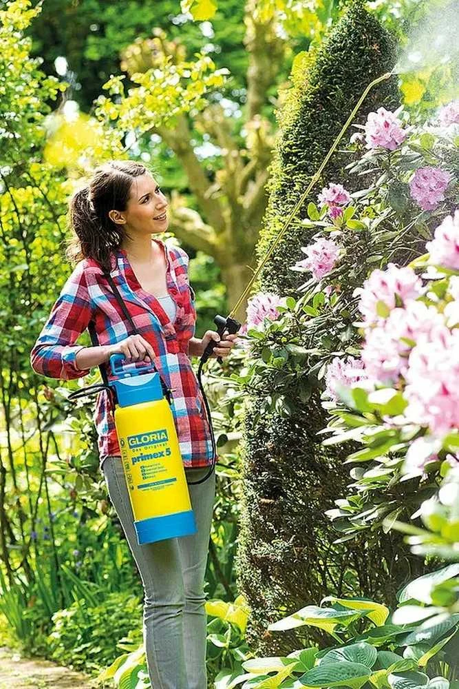Gloria Haus und Garten Rankinis purkštuvas sodo augalams, 5 litrų talpos, su žalvariniu purškimo vamzdeliu, sodo purkštuvas, augalų purkštuvas