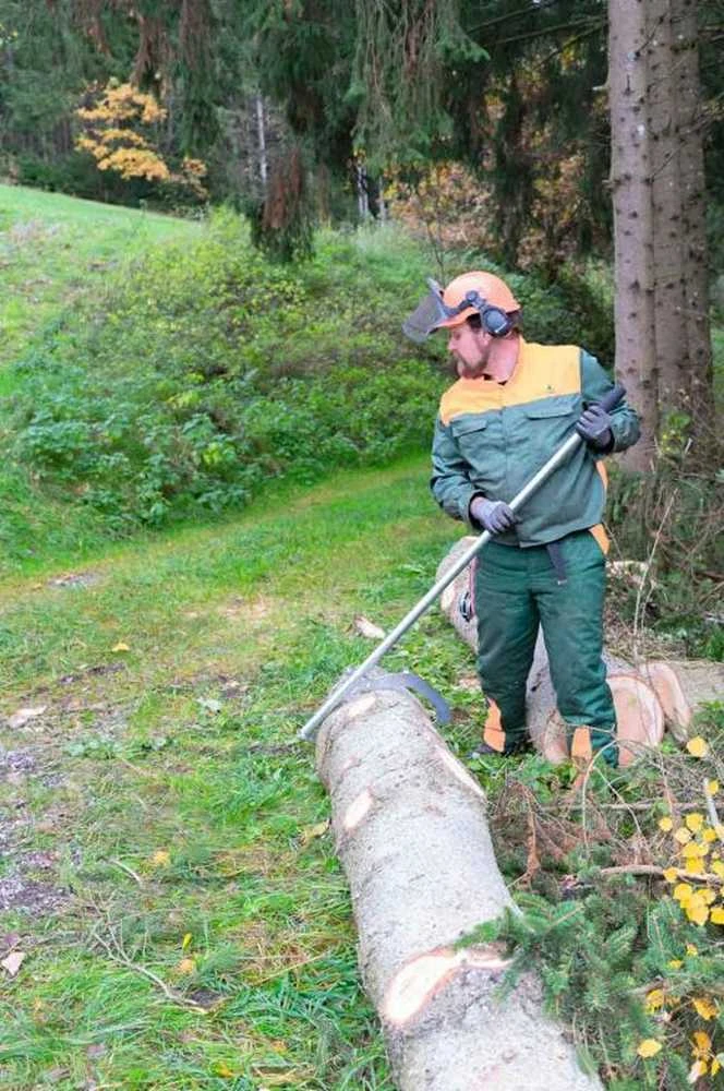 Rankinis rąstų griebtuvas, 120 cm rąstų tvarkymo įrankis, medienos griebtuvas juostiniams pjūklams, medienos kėlimo įrankis, rąstų perkėlimo įrankis