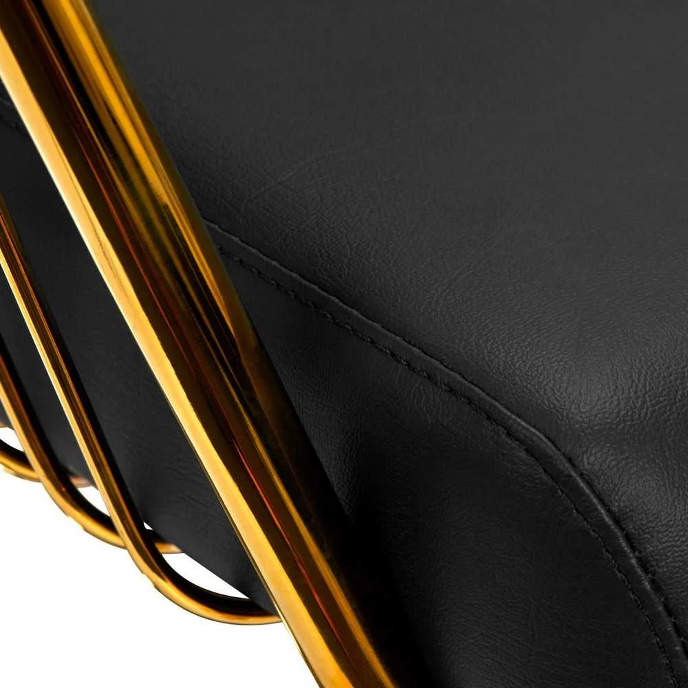 Activeshop Kirpyklos kėdė GABBIANO HAIRDRESSING CHAIR LILLE GOLD Juodas