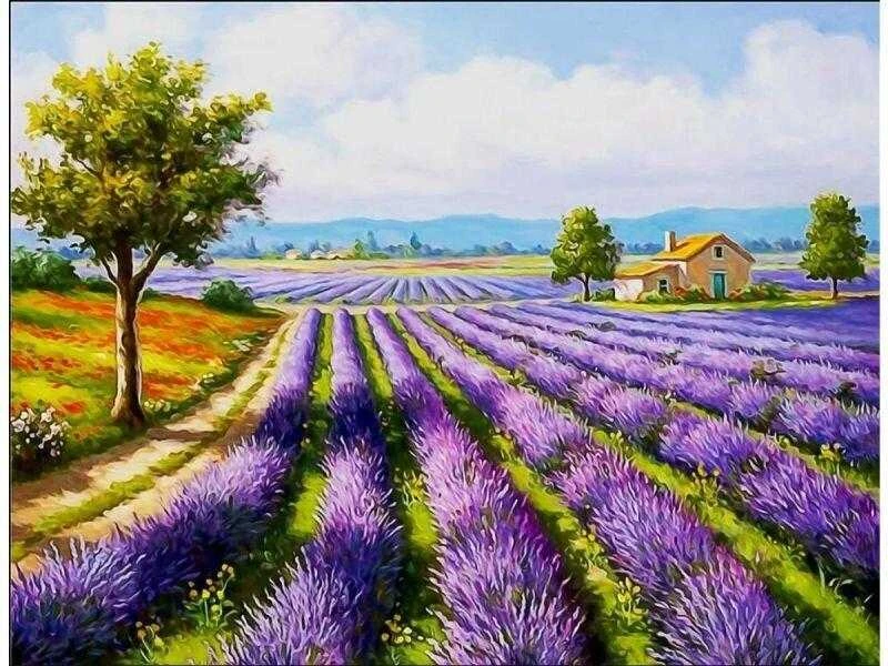 Tapyba pagal skaičius, 50x40cm