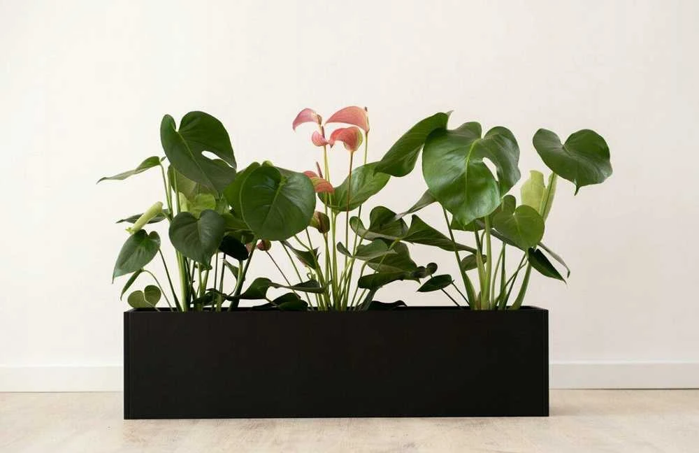 Vazonas Palazzo Decor, 80 x 25 x 20 cm