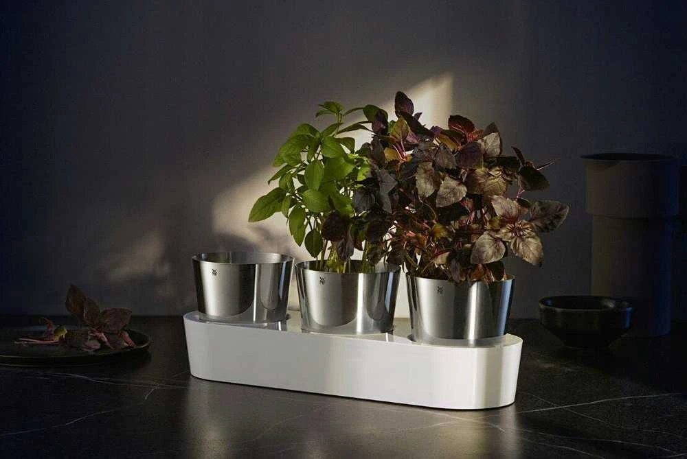 Vazonų rinkinys Wmf, 3 vnt, 12,5x36 cm