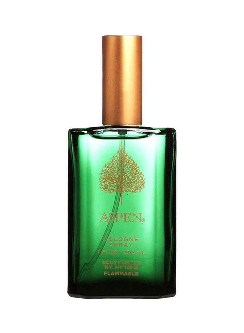 Odekolonas Aspen Aspen EDC vyrams 118 ml, originalas