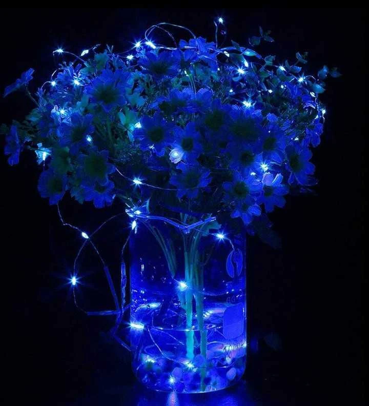 Dekoratyvinė girlianda Springos 100 LED, 10 m